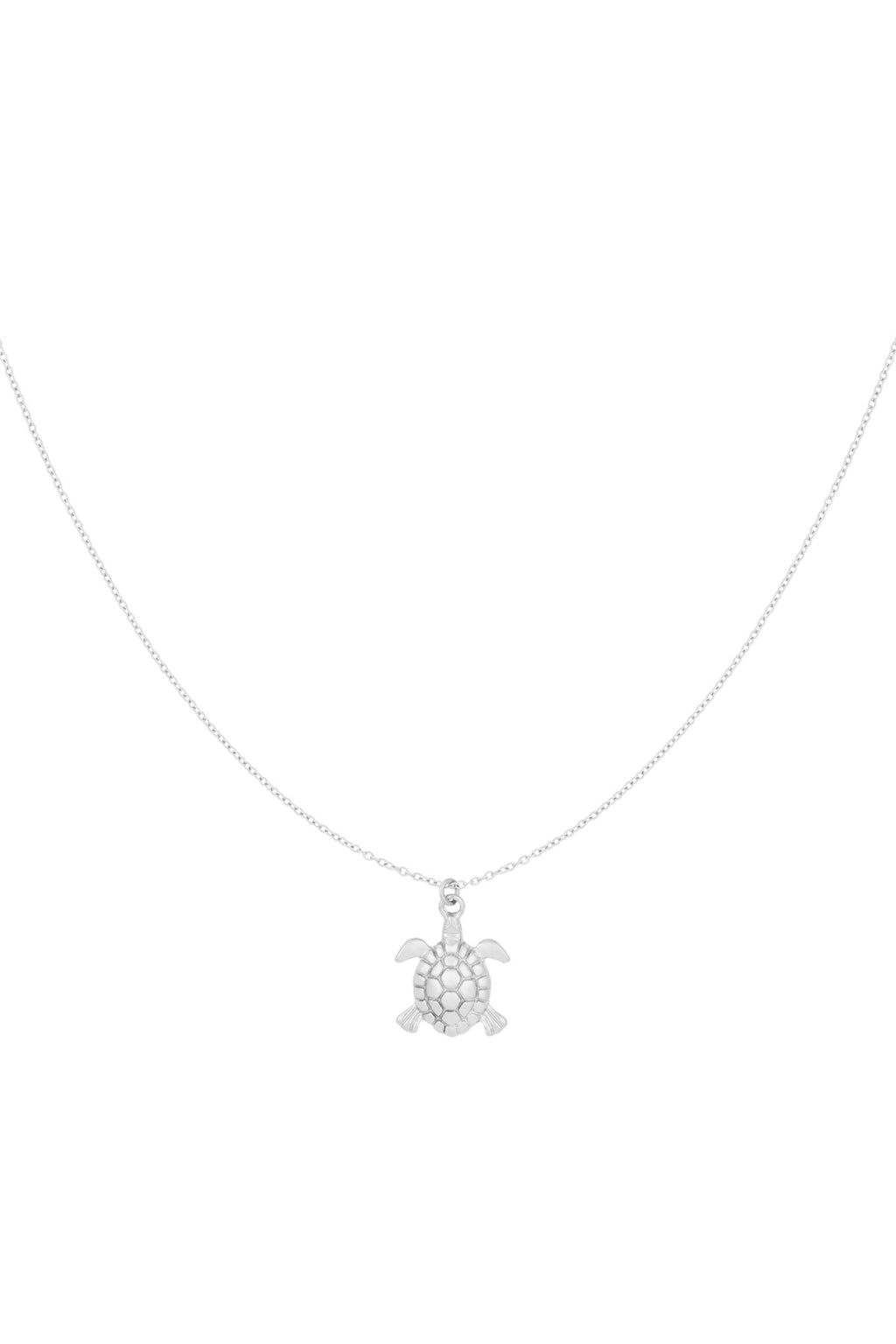 turtle tides ketting