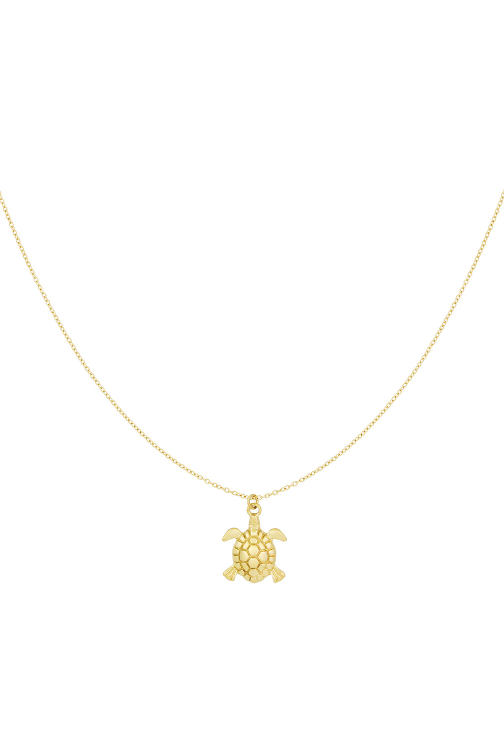 turtle tides ketting