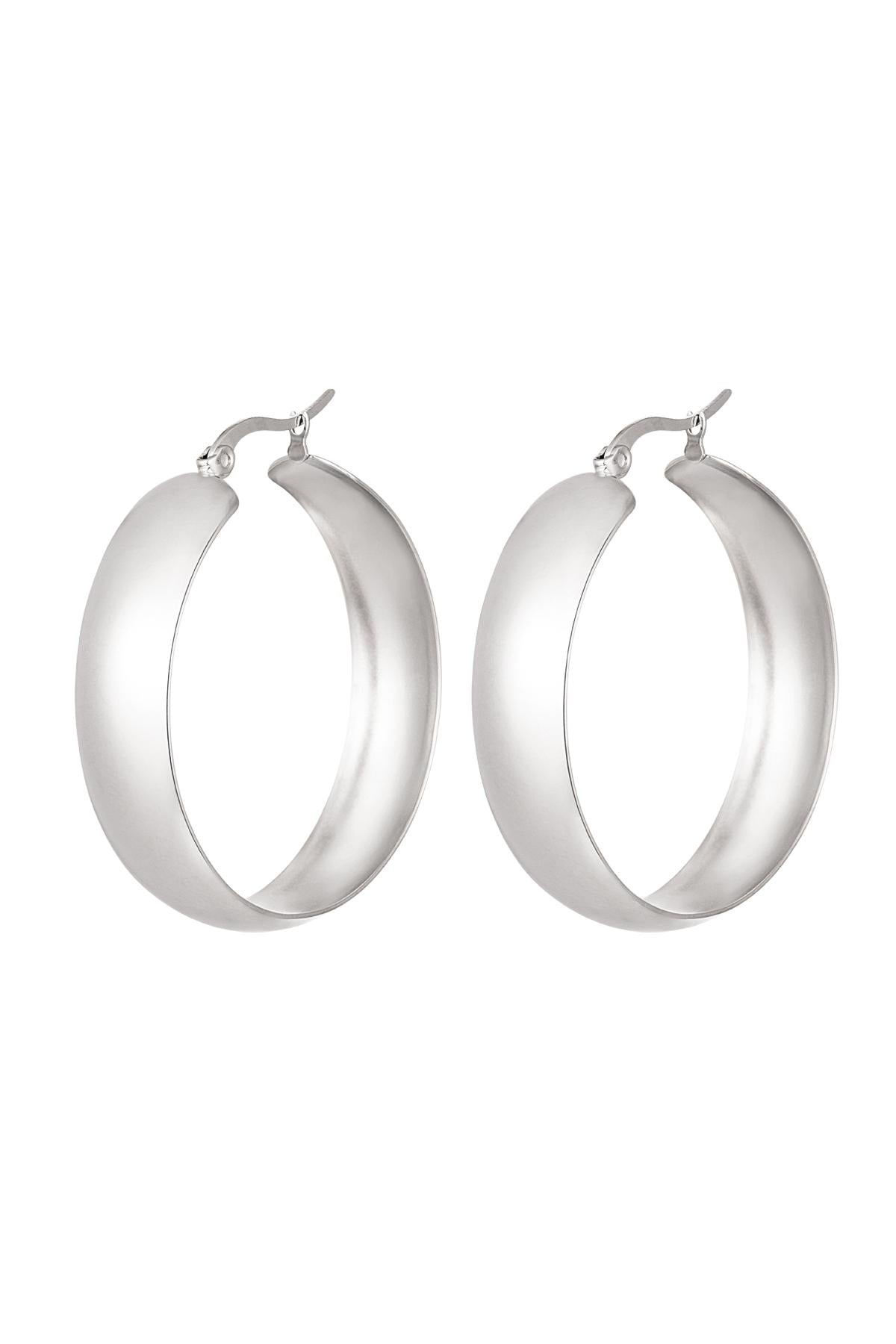 Oorbellen van roestvrij staal – Chic - zilver