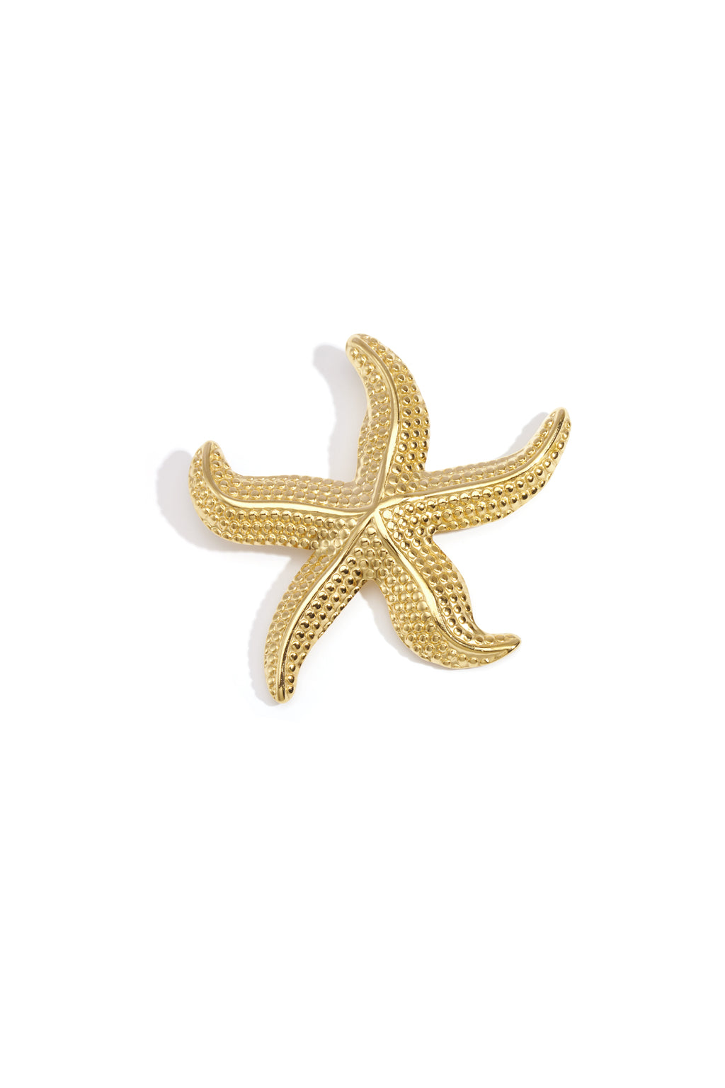Broches van roestvrij staal – Zeesterren